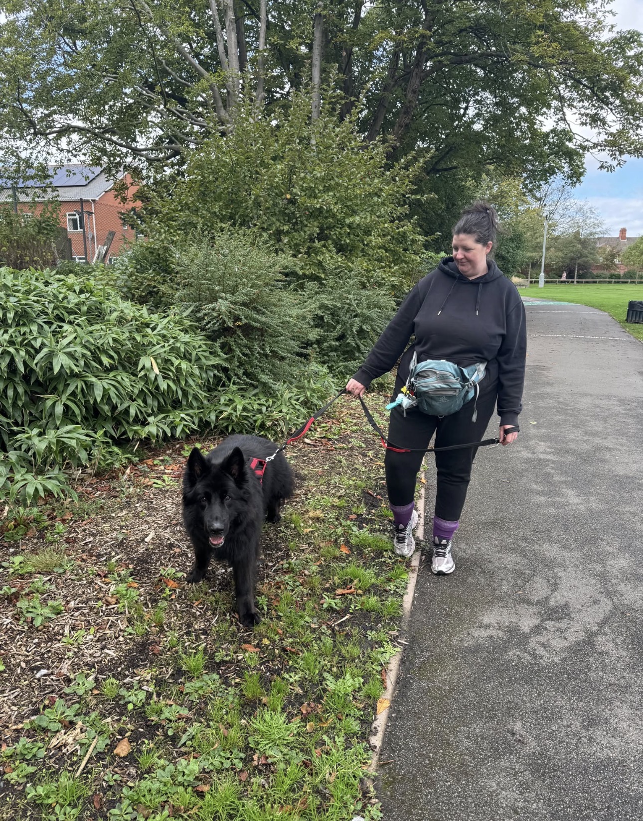 Dog enjoying a walk with their walker