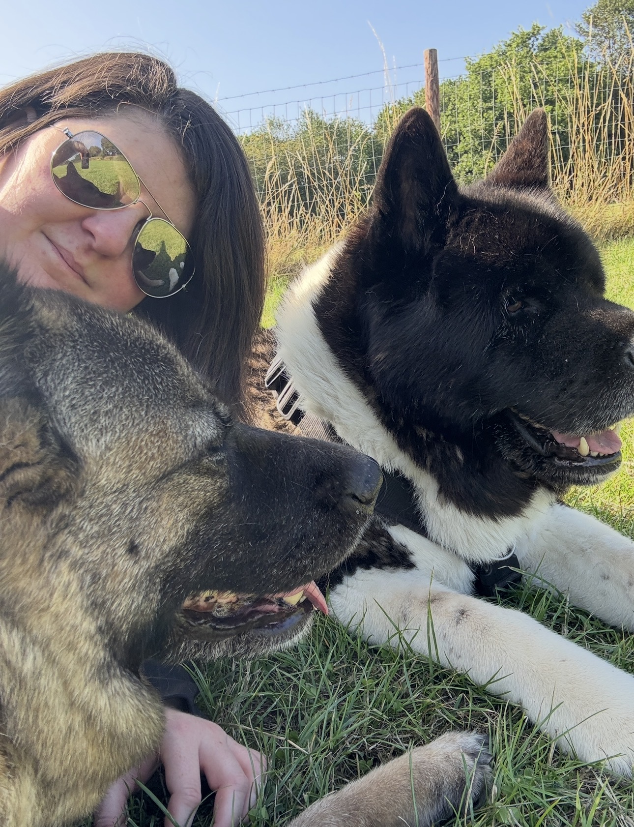Kimberley on the grass with two dogs